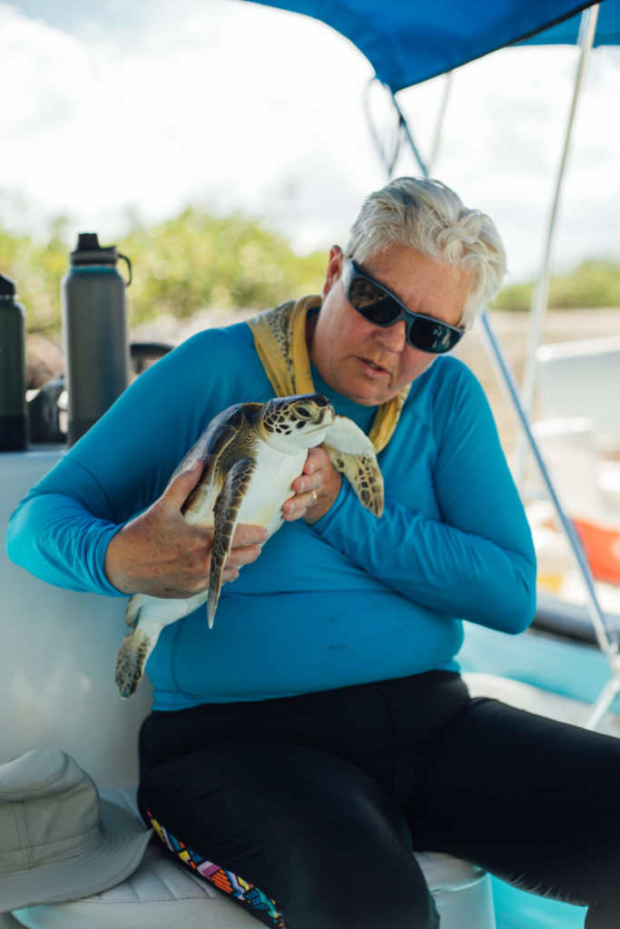 Bahamas Sea turtle Research