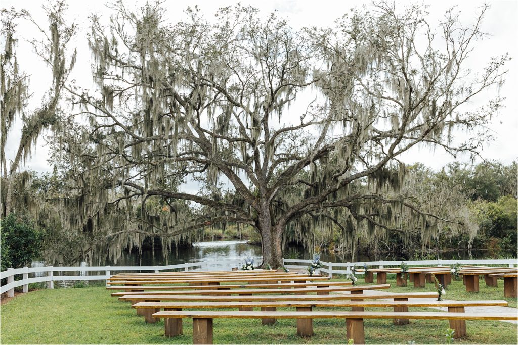 Outdoor Ceremony location Spanish moss covered trees 
