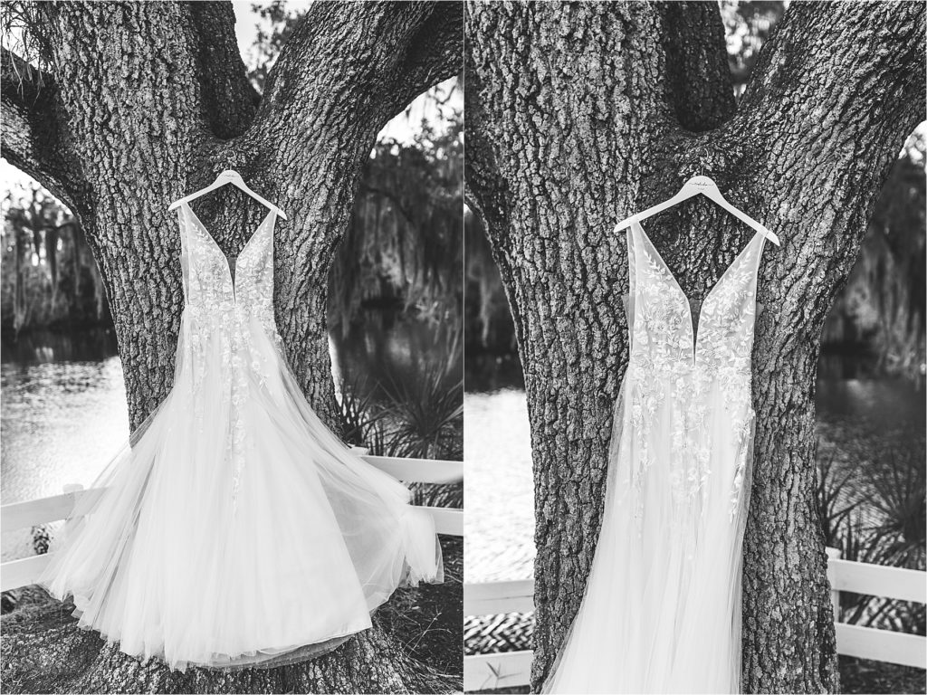 Wedding Dress hanging from tree