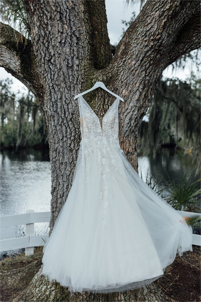 Wedding dress hanging from tree blowing in the wind