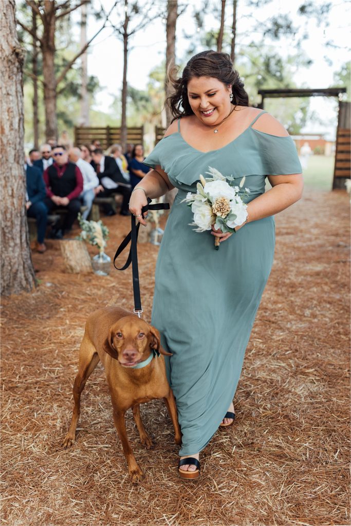 Dogs walking down the aisle
