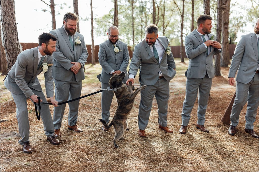 Dogs walking down the aisle